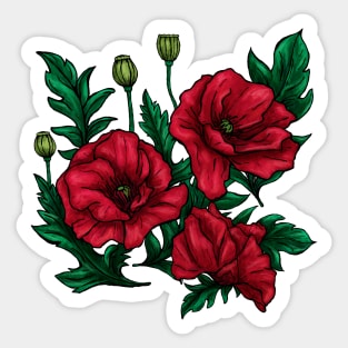 Hand-drawn red and green poppies flowers on white Sticker